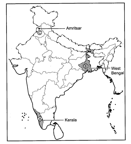 CBSE Previous Year Question Papers Class 12 Geography 2014 Delhi 4
