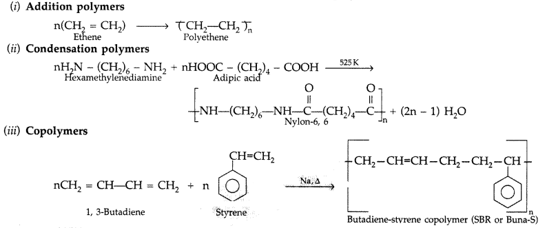 Important Questions for Class 12 Chemistry Chapter 15 Polymers Class 12 Important Questions 10