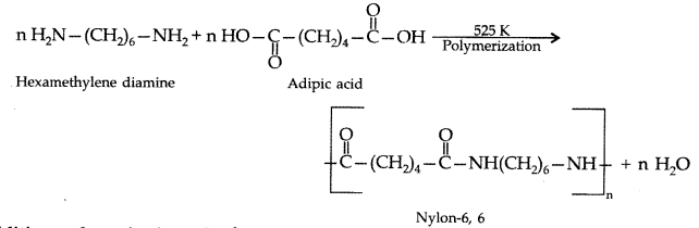 Important Questions for Class 12 Chemistry Chapter 15 Polymers Class 12 Important Questions 122
