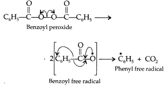 Important Questions for Class 12 Chemistry Chapter 15 Polymers Class 12 Important Questions 28
