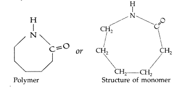 Important Questions for Class 12 Chemistry Chapter 15 Polymers Class 12 Important Questions 6