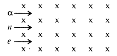 Important Questions for Class 12 Physics Chapter 4 Moving Charges and Magnetism Class 12 Important Questions 120