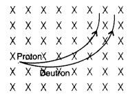 Important Questions for Class 12 Physics Chapter 4 Moving Charges and Magnetism Class 12 Important Questions 28