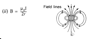 Important Questions for Class 12 Physics Chapter 4 Moving Charges and Magnetism Class 12 Important Questions 40