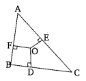 NCERT Solutions For Class 10 Maths Chapter 6 Triangles Ex 6.1 Q19