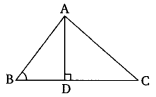 NCERT Solutions For Class 10 Maths Chapter 6 Triangles Ex 6.6 Q24