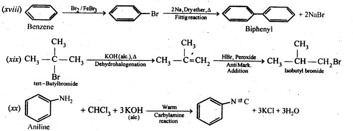 NCERT Solutions For Class 12 Chemistry Chapter 10 Haloalkanes and Haloarenes Exercises Q19.3