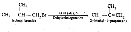 NCERT Solutions For Class 12 Chemistry Chapter 10 Haloalkanes and ...