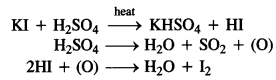 NCERT Solutions For Class 12 Chemistry Chapter 10 Haloalkanes and Haloarenes Intext Questions Q2