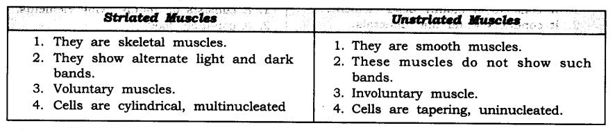 NCERT Solutions For Class 9 Science Chapter 6 Tissues SAQ Q14