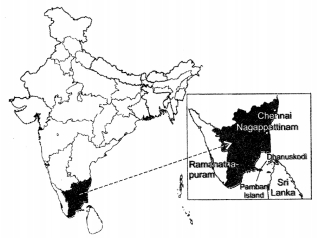 NCERT Solutions for Class 9 English Beehive Chapter 6 My Childhood Page 74 Q1