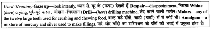 NCERT Solutions for Class 9 English Literature Chapter 11 Oh, I Wish I'd Looked After Me Teeth Paraphrase Q6