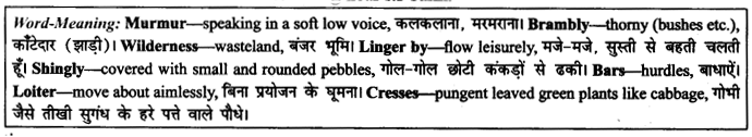 NCERT Solutions for Class 9 English Literature Chapter 6 The Brook Para Phrase Q11