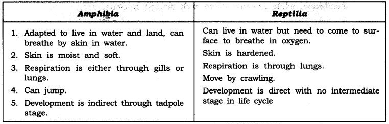 NCERT Solutions for Class 9 Science Chapter 7 Diversity in Living Organisms