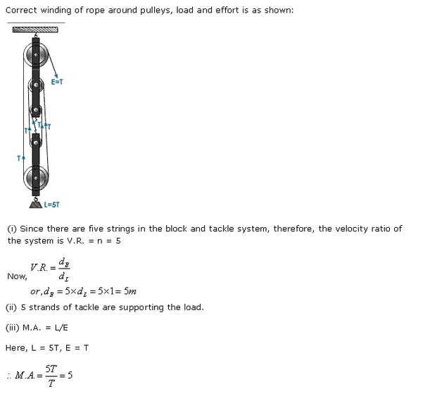 Frank ICSE Class 10 Physics Solutions Force, Work, Energy and Power 10