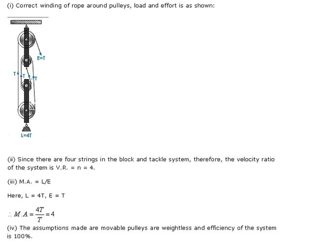 Frank ICSE Class 10 Physics Solutions Force, Work, Energy and Power 12