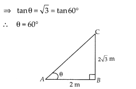 NCERT Exemplar Class 10 Maths Chapter 8 Introduction to Trigonometry and Its Applications Ex 8.2 19