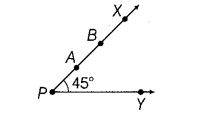 NCERT Exemplar Class 6 Maths Chapter 2 Geometry 61