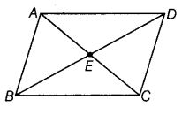 NCERT Exemplar Class 6 Maths Chapter 2 Geometry 96