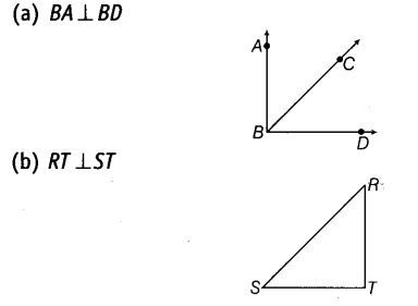 NCERT Exemplar Class 6 Maths Chapter 2 Geometry 99