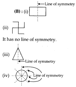 NCERT Exemplar Class 6 Maths Chapter 9 Symmetry and Practical Geometry 2