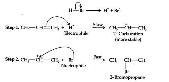 NCERT Solutions for Class 11 Chemistry Chapter 13 Hydrocarbons Q16