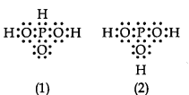 NCERT Solutions for Class 11 Chemistry Chapter 4 Chemical Bonding and Molecular Structure Q12