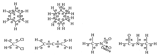 NCERT Solutions for Class 11th Chemistry Chapter 12 Organic Chemistry Some Basic Principles and Techniques Q2