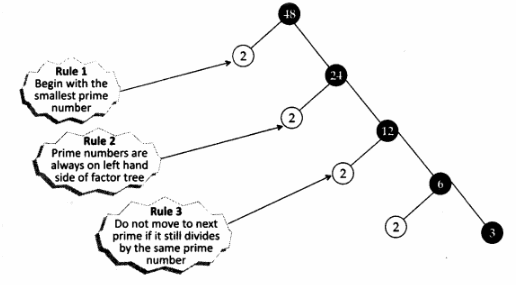 Real Numbers Class 10 Notes Maths Chapter 1 Q2.1