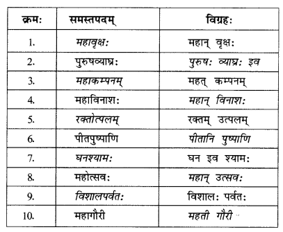 Abhyasvan Bhav Sanskrit Class 10 Solutions Chapter 7 समासा 1.4