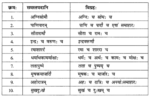Abhyasvan Bhav Sanskrit Class 10 Solutions Chapter 7 समासा 1.6