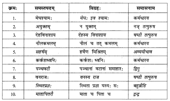 Abhyasvan Bhav Sanskrit Class 10 Solutions Chapter 7 समासा 1.8