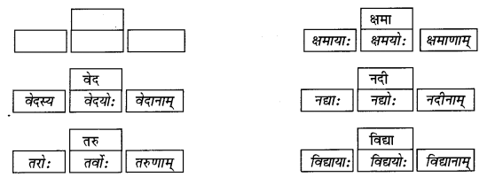Abhyasvan Bhav Sanskrit Class 9 Solutions Chapter 6 कारकोपपदविभक्तिः 16