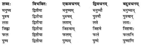 Abhyasvan Bhav Sanskrit Class 9 Solutions Chapter 6 कारकोपपदविभक्तिः 4