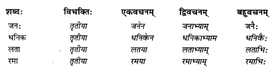 Abhyasvan Bhav Sanskrit Class 9 Solutions Chapter 6 कारकोपपदविभक्तिः 5