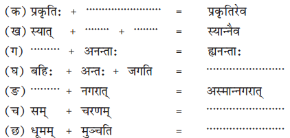 NCERT Solutions for Class 10 Sanskrit Shemushi Chapter 1 शुचिपर्यावरणम् 10