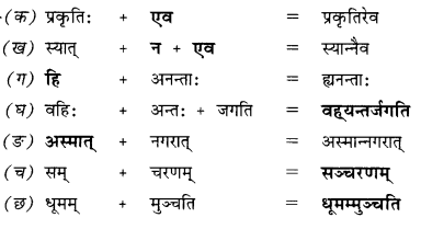 NCERT Solutions for Class 10 Sanskrit Shemushi Chapter 1 शुचिपर्यावरणम् 3