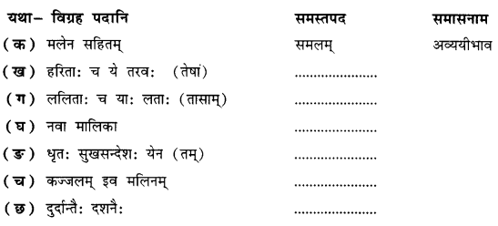 NCERT Solutions for Class 10 Sanskrit Shemushi Chapter 1 शुचिपर्यावरणम् 4