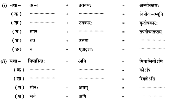 NCERT Solutions for Class 10 Sanskrit Shemushi Chapter 12 अनयोक्त्यः 1