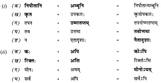 NCERT Solutions for Class 10 Sanskrit Shemushi Chapter 12 अनयोक्त्यः 3