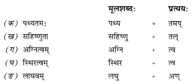 NCERT Solutions for Class 10 Sanskrit Shemushi Chapter 3 व्यायामः सर्वदा पथ्यः 3