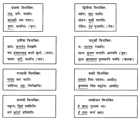 Abhyasvan Bhav Sanskrit Class 9 Solutions Chapter 10 शब्दरूपाणि 1
