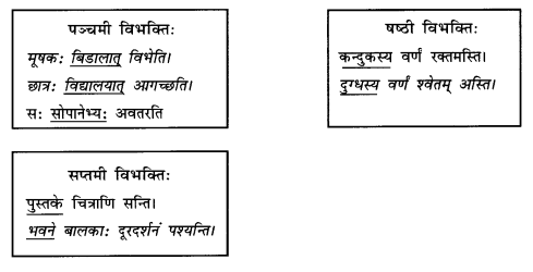 Abhyasvan Bhav Sanskrit Class 9 Solutions Chapter 10 शब्दरूपाणि 3