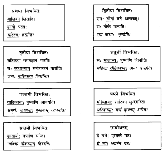 Abhyasvan Bhav Sanskrit Class 9 Solutions Chapter 10 शब्दरूपाणि 4