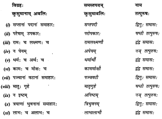 Abhyasvan Bhav Sanskrit Class 9 Solutions Chapter 9 समासाः 2