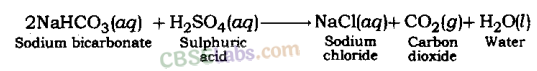 Acids Bases and Salts Class 10 Notes Science Chapter 2 img-6