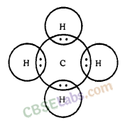 Carbon and its Compounds Class 10 Notes Science Chapter 4 img-1