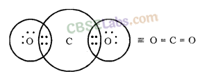 Carbon and its Compounds Class 10 Notes Science Chapter 4 img-2