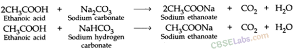 Carbon and its Compounds Class 10 Notes Science Chapter 4 img-36