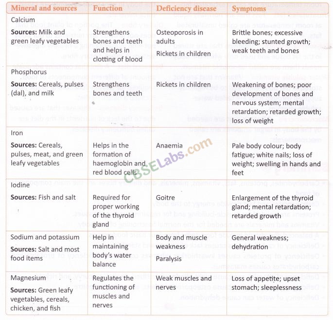 Components of Food Class 6 Notes Science Chapter 2 img-17